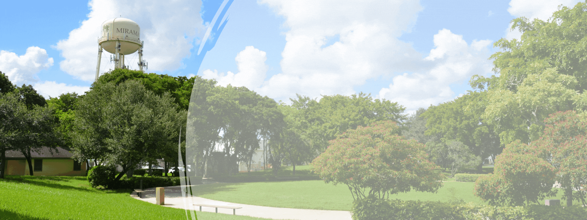 Website Banner.gif